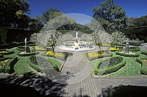 The Elizabethan Gardens photo