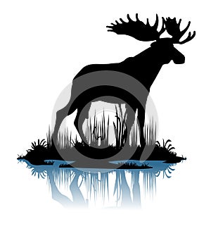 Elk with big antlers male. Silhouette picture. Animals in wild. Overgrown river bank. Island in the water. Isolated on