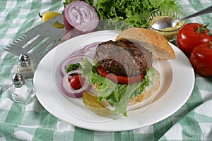 Elk burger