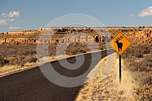 Elk Crossing