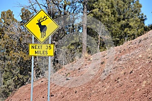 Elk Crossing Sign. Beware of Elk jaywalking across the road. Payson, Tonto National Forest. Arizona USA