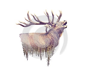 Elk and Forest. Watercolor Double Exposure effect