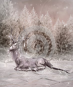 An elk by the frozen forest