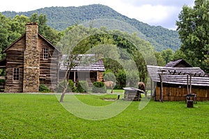 Elk Graze At Great Smoky Mountains Cabin