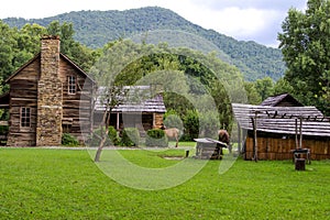 Elk Graze At Great Smoky Mountains Cabin photo