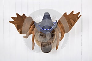 Elk head with antlers and a white felt bavarian hat with blue white ribbon hanging on a white wall.