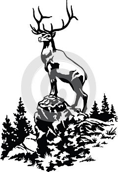 Elk on Hill Illustration