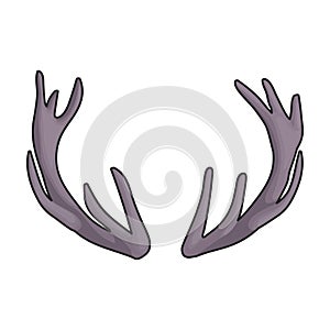 Elk horn vector icon.Color vector icon isolated on white background elk horn