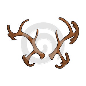 Elk horn vector icon.Color vector icon isolated on white background elk horn