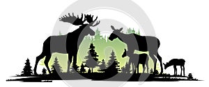 Elk male with large horns and with Moose female with cub Elk. Glade in coniferous forest. Silhouette picture. Animals in