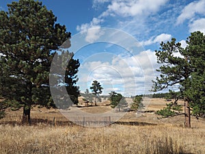 Elk Meadow Park in Evergreen, Colorado