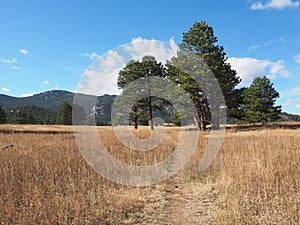 Elk Meadow Park in Evergreen, Colorado