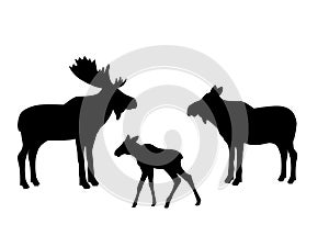 Elk moose mammal black silhouette animal