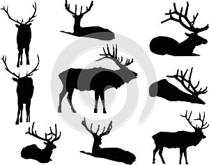 Elk Silhouette Animal Clip Art photo