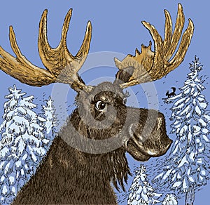 Elk in the winter wood. Vector format