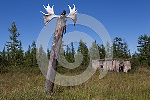 Elks horns on a pole and an old barn.