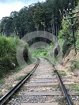 ella railway,sri lanka