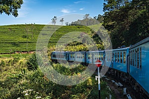 Ella to kandy sri lanka famous train