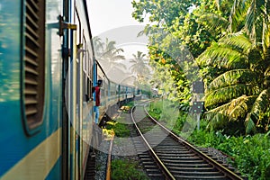 Ella to Kandy among tea plantations in highlands of Sri Lank