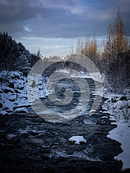 Ellidaa river and forest covered with snow in winter, Reykjavik, Iceland.