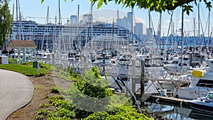 Elliot Bay Marina