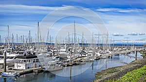 Elliot Bay Marina