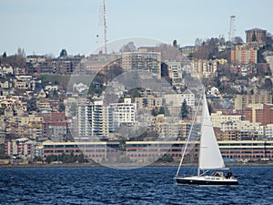 Elliot bay seattle