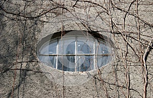 Ellipse window