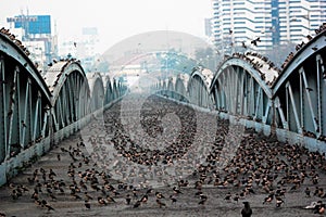 Ellis brige: Heritage structure, Ahmedabad, India.