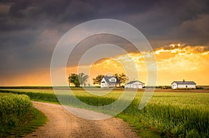 Ellis County, KS USA - Country Road with the Idyllic Midwestern Farmhouse Background