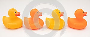 Î¥ellow and orange color rubber ducks isolated on transparent background, Ducks in a row. PNG