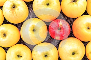 ellow and red apples apples on the old wooden table. autumn background. The concept of a healthy food, diet.