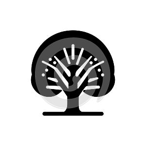 Elm forest tree icon