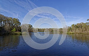 Elm Lake at the Brazos Bend State Park in Texas