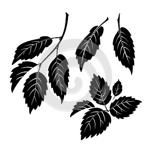 Elm Leaves, Pictogram Set