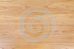 Elm plank texture