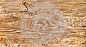 Elm slab texture. Live edge elm countertop. Wood texture photo