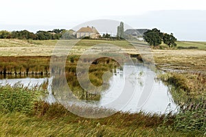 Elmley RSPB Reserve, Kent