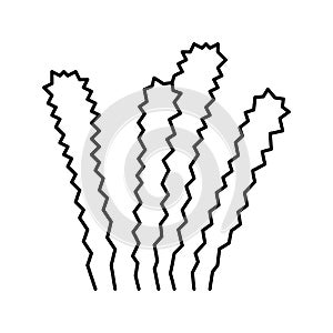 elodea densa line icon vector illustration