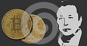 Elon Musk Bitcoin