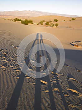 Elongated Shadow of Two People On Sand photo