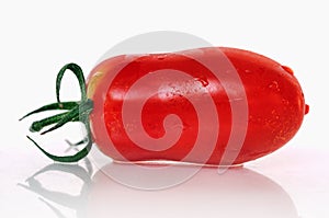 Elongated tomato on a white background