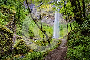 Elowah Falls, Columbia Gorge, Oregon