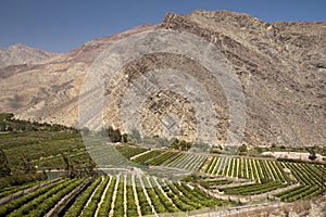 Elqui valley photo