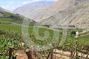 Elqui valley