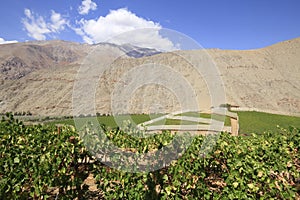 Elqui valley