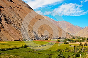 Elqui Valley