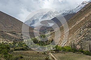 Elqui Valley, Andes part of Atacama Desert