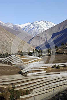 Elqui Valley, Chile