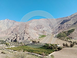 Elqui Valley in northern Chile. Wine Grape Farmland